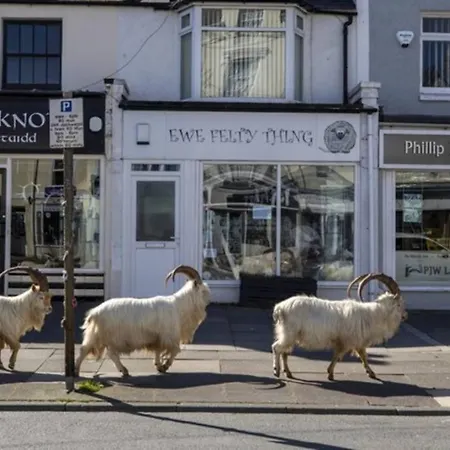 Beautiful Townhouse On The Great Orme, Llandudno Pet Friendly Vila Exterior foto